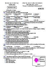Đề kiểm tra học kỳ I môn Sinh học Lớp 10 - Mã đề 424 - Năm học 2018-2019 - Sở giáo dục và đào tạo tỉnh Quảng Nam